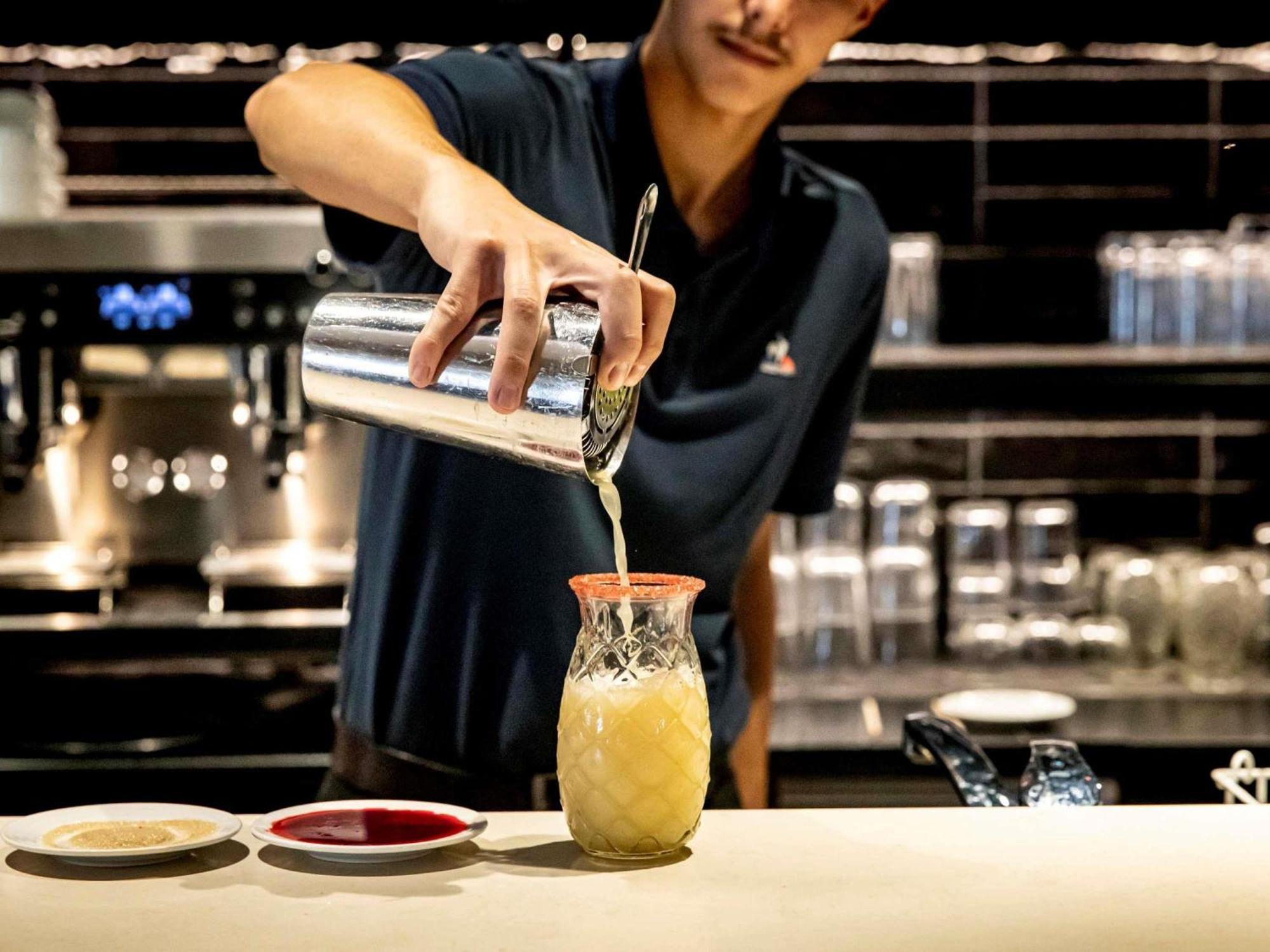 Hotel Novotel Beaune (Cote d'Or)